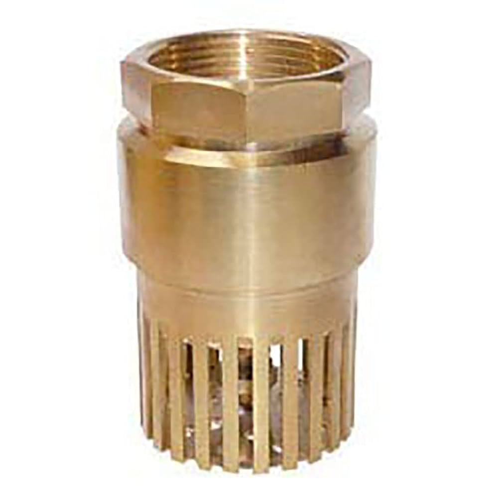 Copper Foot Valve